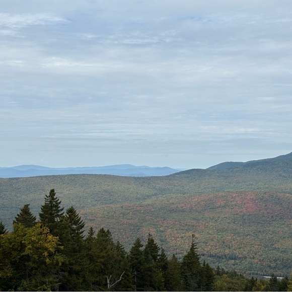 Meet your Posher, Sarah - Picture 1 of 1